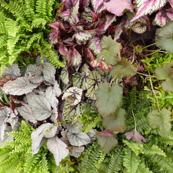 Mur v&eacute;g&eacute;tal &eacute;v&eacute;nementiel VERTICAL FLORE - Plants