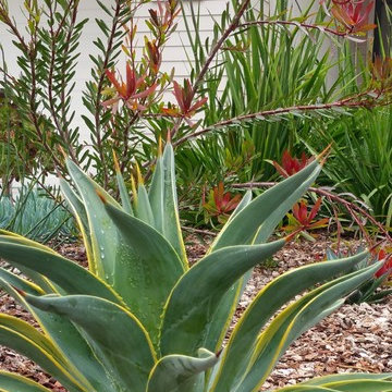 Sustainable Wildlife Garden
