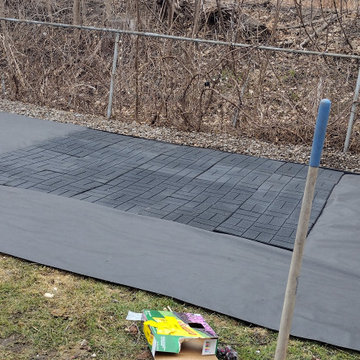 Regina's Dog-Friendly Yard
