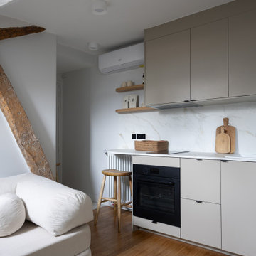 Charmant pied-à-terre de 26 m² sous les toits- Projet Marly