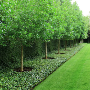 Modern Serenity Gardens - Memorial, Houston