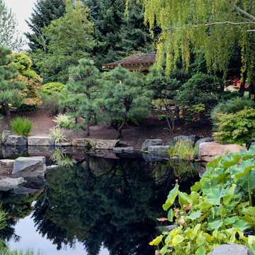 Japanese Garden Pond - Denver Botanic Garden