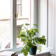 At the window