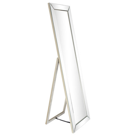 Modern Beveled Cheval Large Mirror, Floor Mirror, 64"x18"