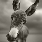 Sabrina Gemelli's photo