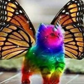 Foto von Cindy Smith