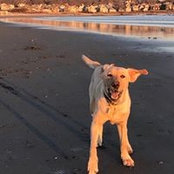 Geremie Callaghan's photo