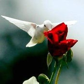 Diane Coady's photo