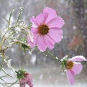 Erin Okeefe's photo