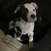 Jenni Coan's photo