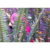 Ethel Burnham's photo