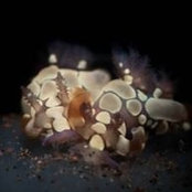 Dymphna O's photo
