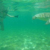 Sofia Maria's photo