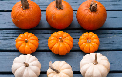 10 Fun Ideas for Decorating With Pumpkins, No Carving Required