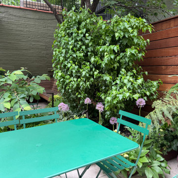 Brooklyn Heights Shady Garden