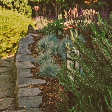 Waterwise Garden + Retaining Wall