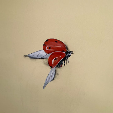 Murals and Decorative Painting