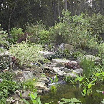 Landscape Design