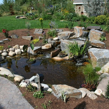 Springbank Area