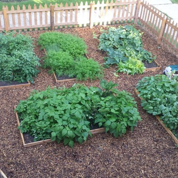 Vegetable Bed Design - Shorewood, WI