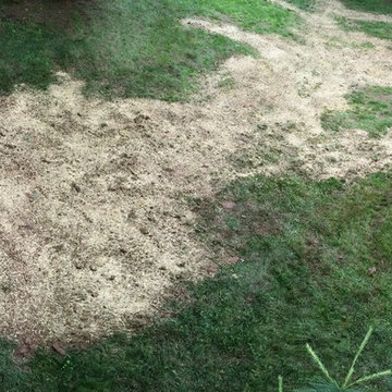 Drainage Wet Backyard - Middletown