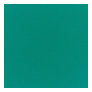 Canvas Teal