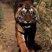 'Simanta Roy''s photo