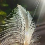 Chris Clark Connolly's photo