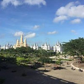Foto von Rooney Rooney