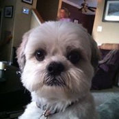 Trish Weber's photo