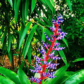 BeTheColorful Mitchells foto