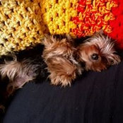 Randie Jordan's photo