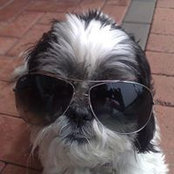 Foto de Mel Ni Ruddy
