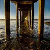 Melissa Brazington's photo