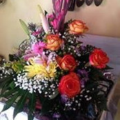 Sherry Sitahal's photo