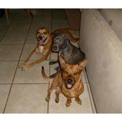 Tricia Rall's photo