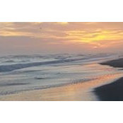 Dola Moore's photo