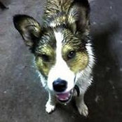 Oscar Broughton's photo