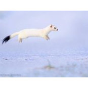 Jenn Halbert's photo