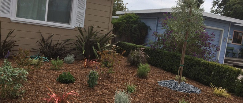 JDH GARDEN SERVICES INC. - Project Photos &amp; Reviews - Redwood City, CA ...