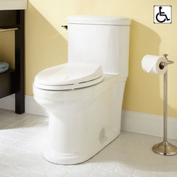 DAWID SIPHONIC ONE-PIECE ELONGATED TOILET - ADA COMPLIANT - Toilets