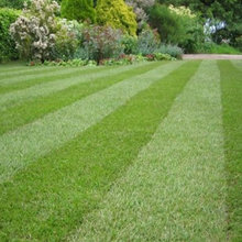 The Art of Landscaping: How to Beautify your Yard this Spring