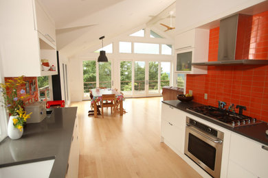 Example of a minimalist kitchen design in New York