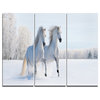 "Two Galloping White Ponies" Photo Canvas Print, 3 Panels, 36"x28"