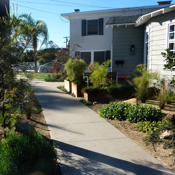 Coronado Lawn Replacement