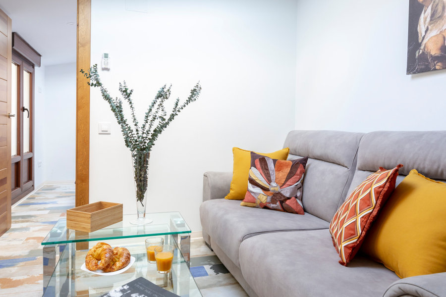Apartamentos Alcala proyecto en colaboración con Nuria Carrion