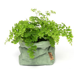 Paper Bag Sage | Uashmama - Indoor Pots And Planters