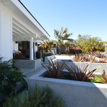 Marco Mid-Century