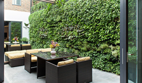 How to Create Privacy in a Small Urban Garden
