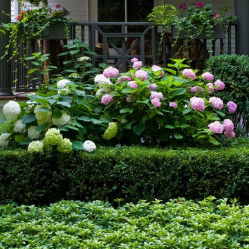 Shades of Summer